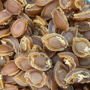 d9130381-899e-4c40-b58f-c5099dde95b5